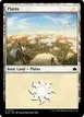 Plains #370