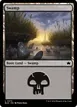 Swamp #373