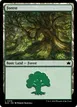 Forest #378