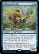 Pollywog Prodigy #15