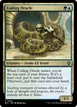 Coiling Oracle #250