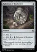Talisman of Resilience #288
