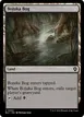 Bojuka Bog #294