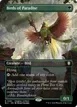 Birds of Paradise #81
