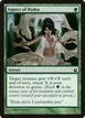Aspect of Hydra #117