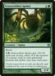 Graverobber Spider #122