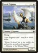 Loyal Pegasus #19