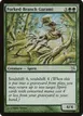 Forked-Branch Garami #125