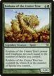 Kodama of the Center Tree #131