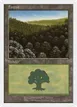 Forest #101