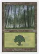 Forest #104