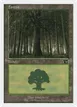 Forest #105