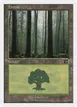 Forest #106