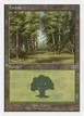 Forest #107
