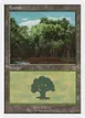 Forest #109