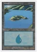Island #113