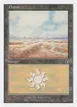 Plains #130