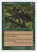 Pincher Beetles #51