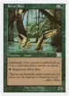 River Boa #59