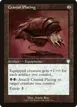 Cranial Plating #136