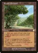 Exotic Orchard #185