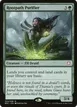 Rootpath Purifier #24