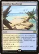 Fortified Beachhead #262