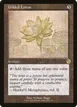 Gilded Lotus #80