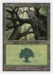 Forest #88