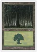 Forest #89