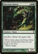 Ravenous Baloth #165