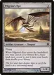 Pilgrim's Eye #253