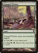 Tranquil Thicket #329