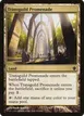 Transguild Promenade #330