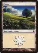 Plains #337