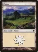 Plains #338