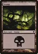 Swamp #348