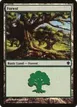 Forest #353