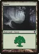 Forest #354