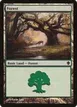 Forest #356