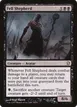 Fell Shepherd #78