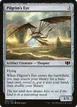 Pilgrim's Eye #262