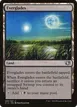 Everglades #294