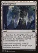 Evolving Wilds #295