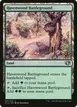 Havenwood Battleground #301