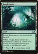 Jungle Basin #302