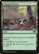 Tranquil Thicket #316
