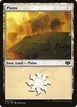 Plains #318