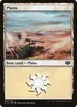Plains #319