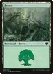 Forest #336